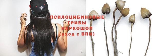 круглые Белокуриха