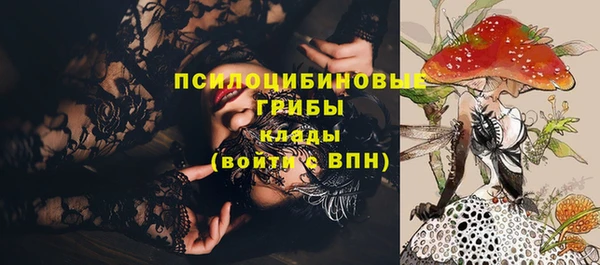 мдпв Беломорск