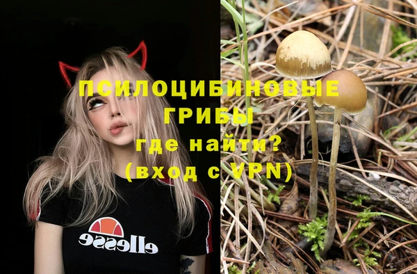 круглые Белокуриха