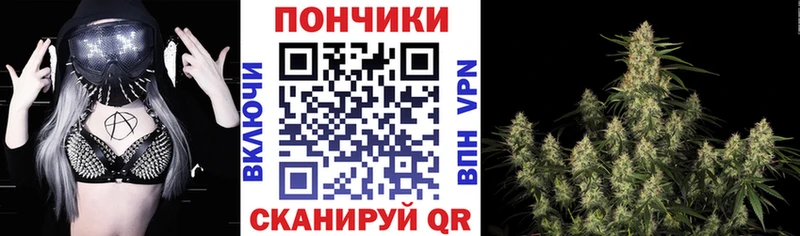 Шишки марихуана Amnesia Томск